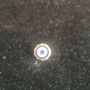 Vintage American Legion Auxilary Blue and Gold Star Lapel Pin